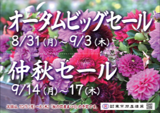 東京問屋連盟 - 問屋街大売出し情報